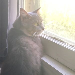 Meet your Posher, Brooke